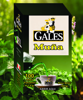 MUÑA GALES X 100 SOBRES FILTRANTE