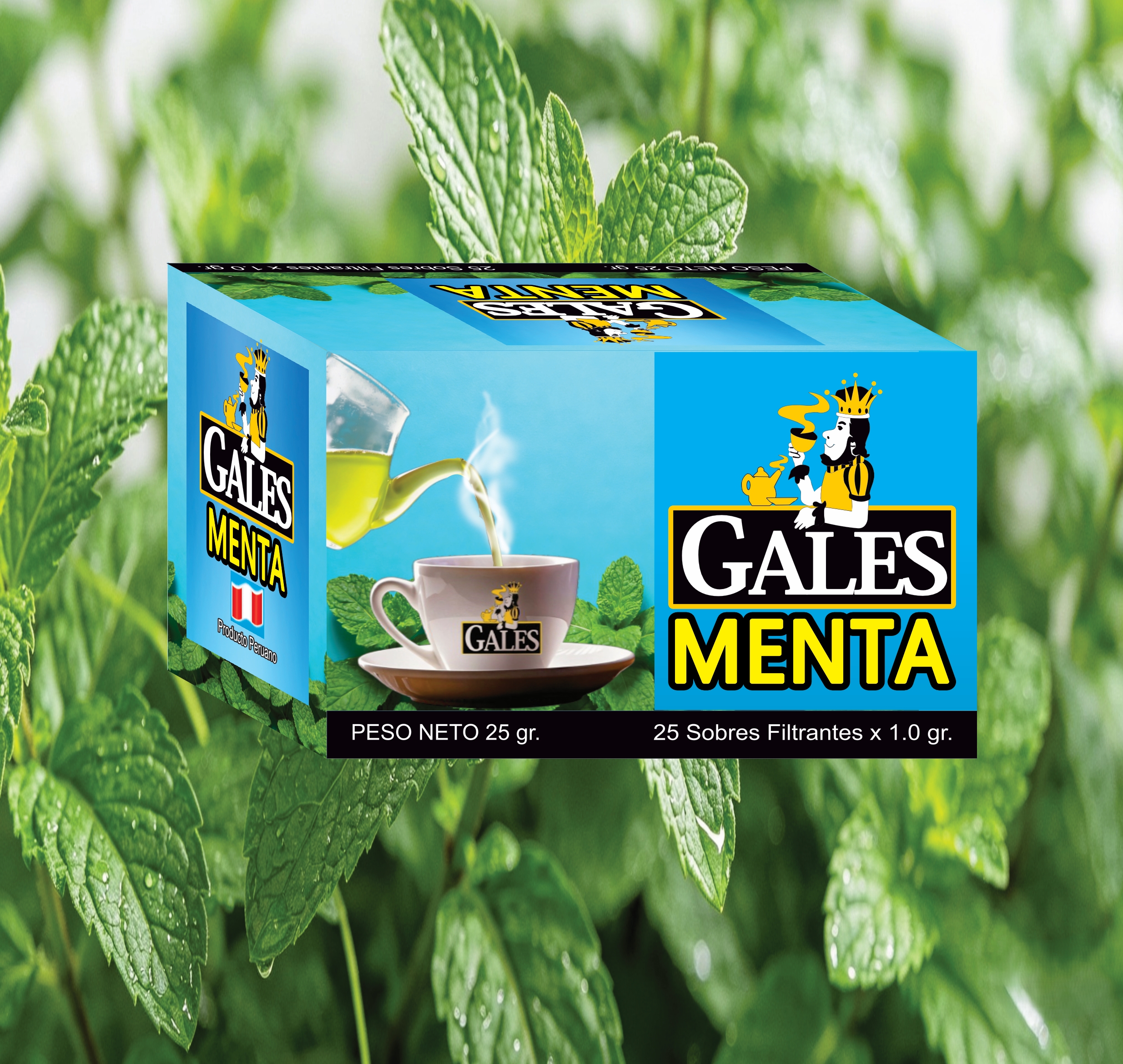 Recuperada_MENTA SOLA