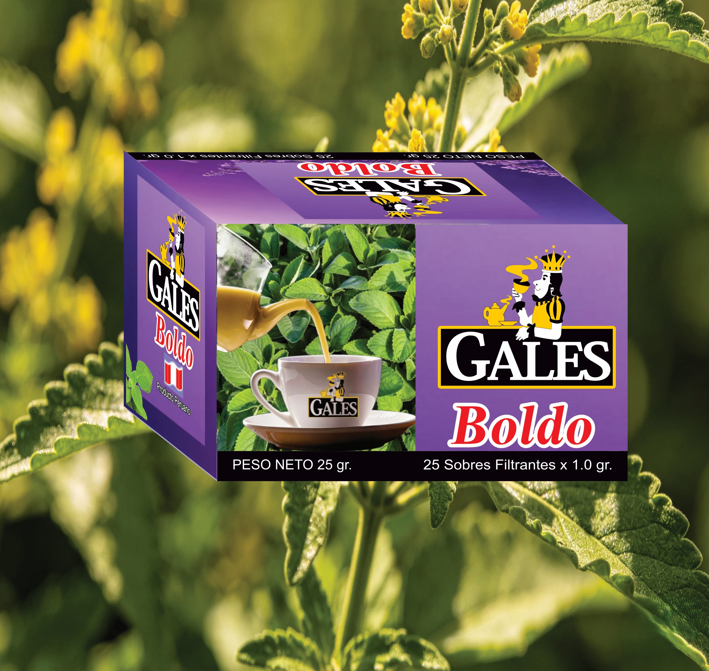 boldo